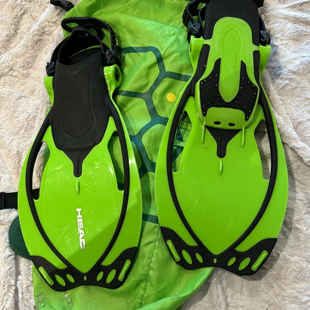 Flippers - Picture 2 of 7
